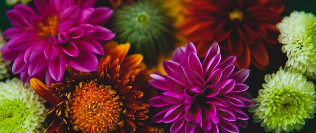 帕金斯：雷霆肯定会打破勇士73胜纪录，可能取得80胜2负